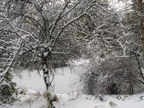 more snow nov 2019 011.JPG - Smeaton Lake - Hamish Scott